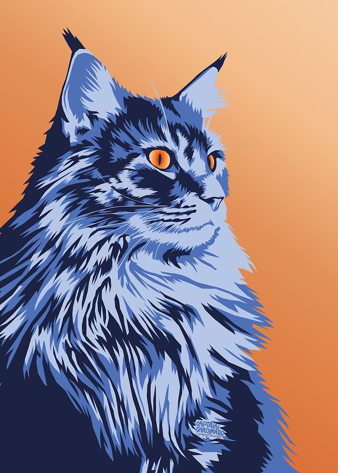 Maine Coon