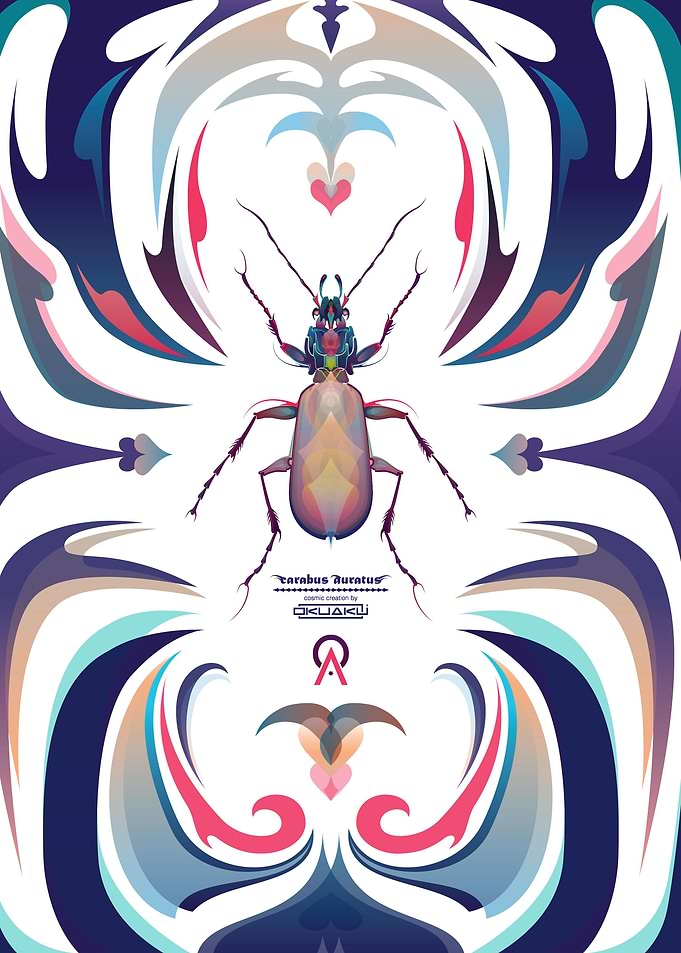 Carabus Auratus