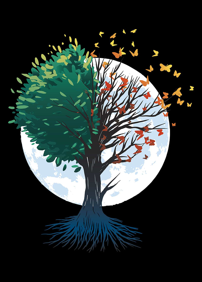 Tree at the Moon Butterfly