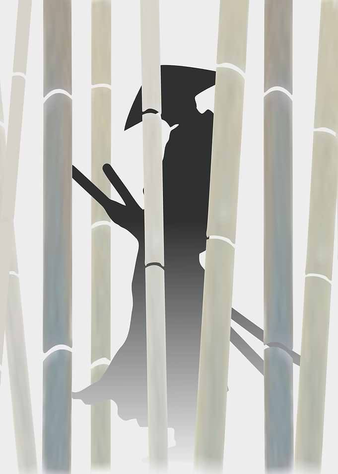 Japanese Anime Samurai