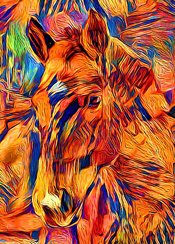 Horse Color Abstract