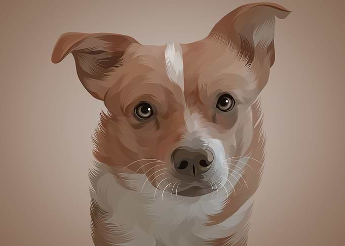 Dog 19