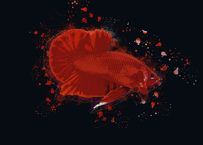 Super Red Betta Fish