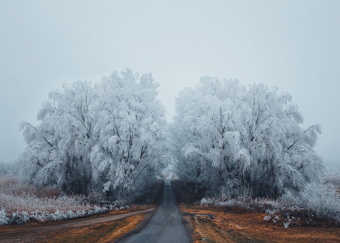 Winter in winterland