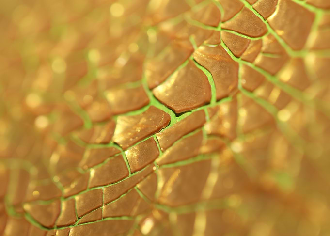 Cracked canvas paint macro