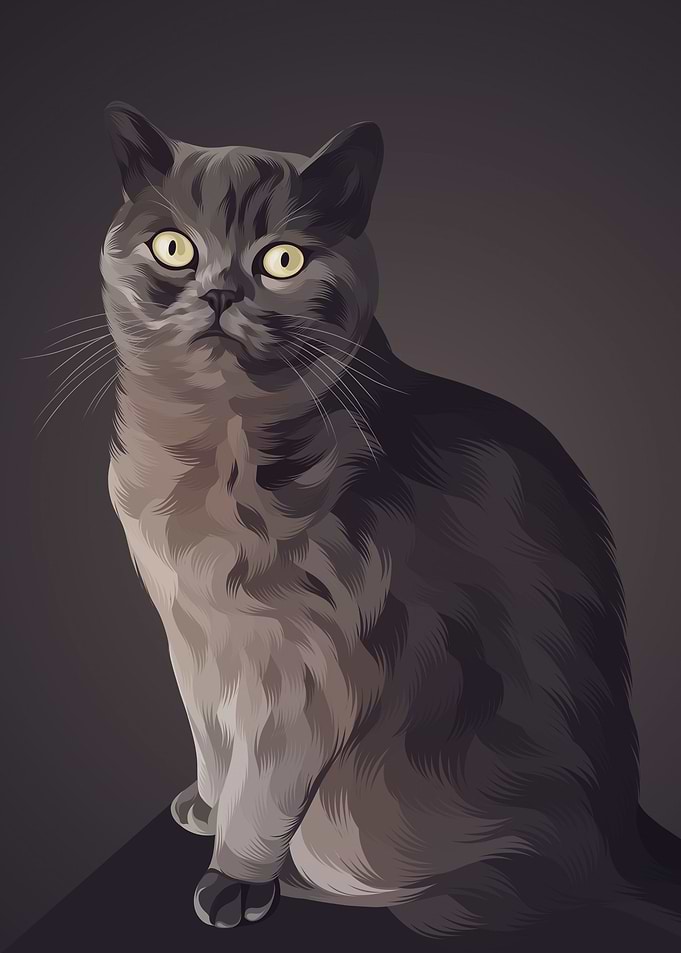 Cat 15