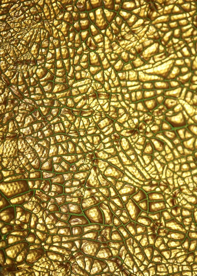 Canvas paint art close up