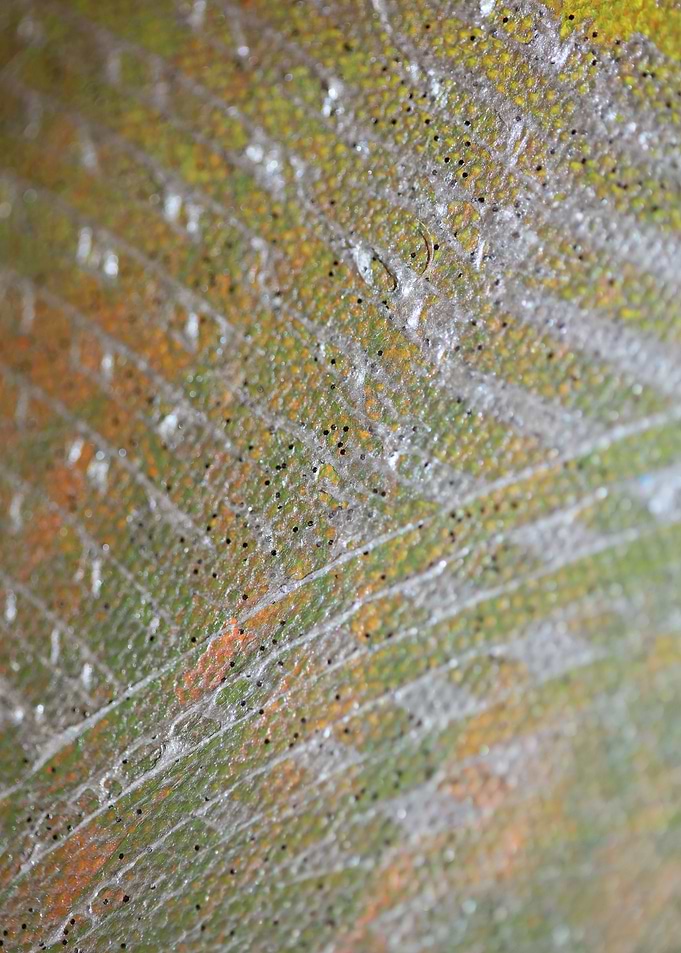 Painting colors on canvas