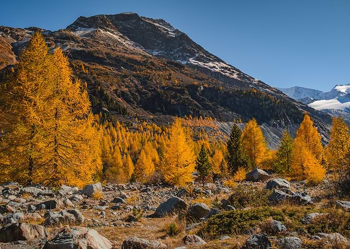 Autumn Valley
