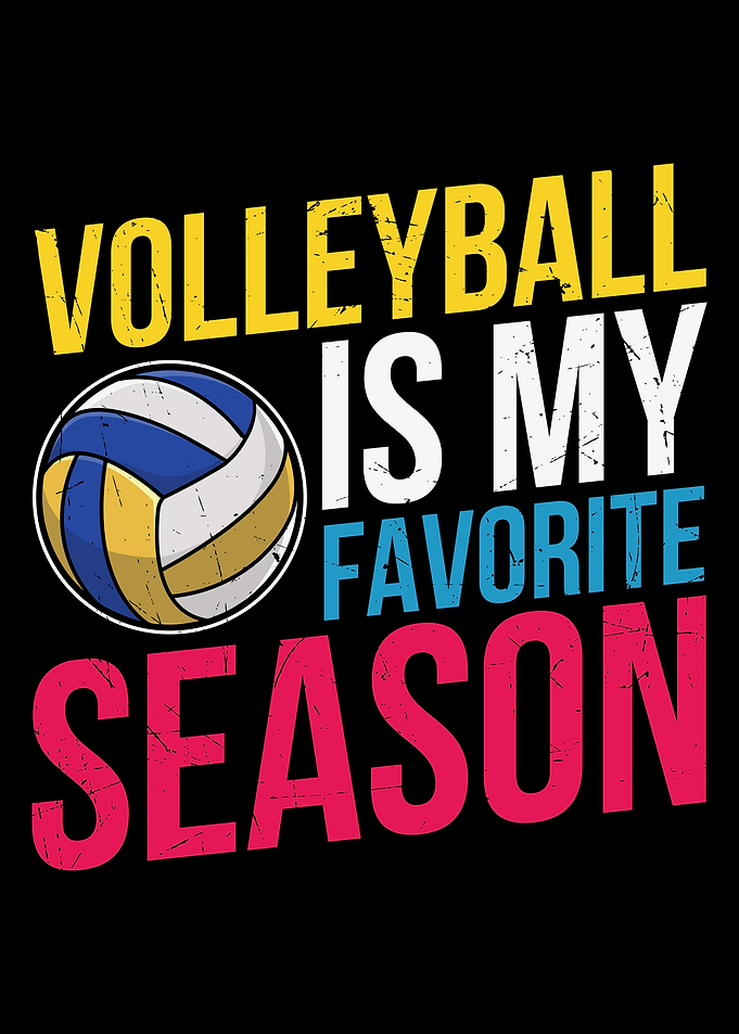 Volleyball Saying