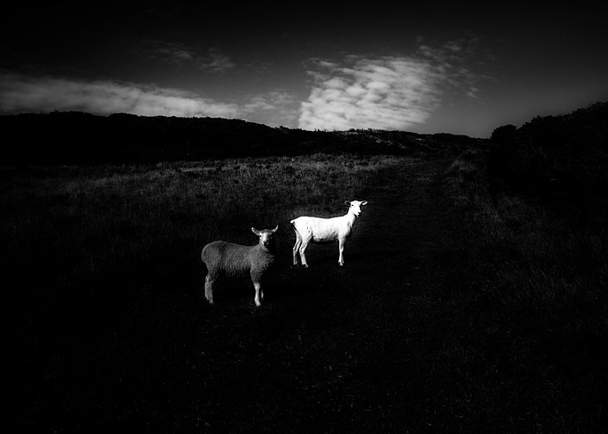black and white