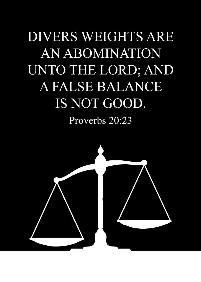 Proverbs 20 23