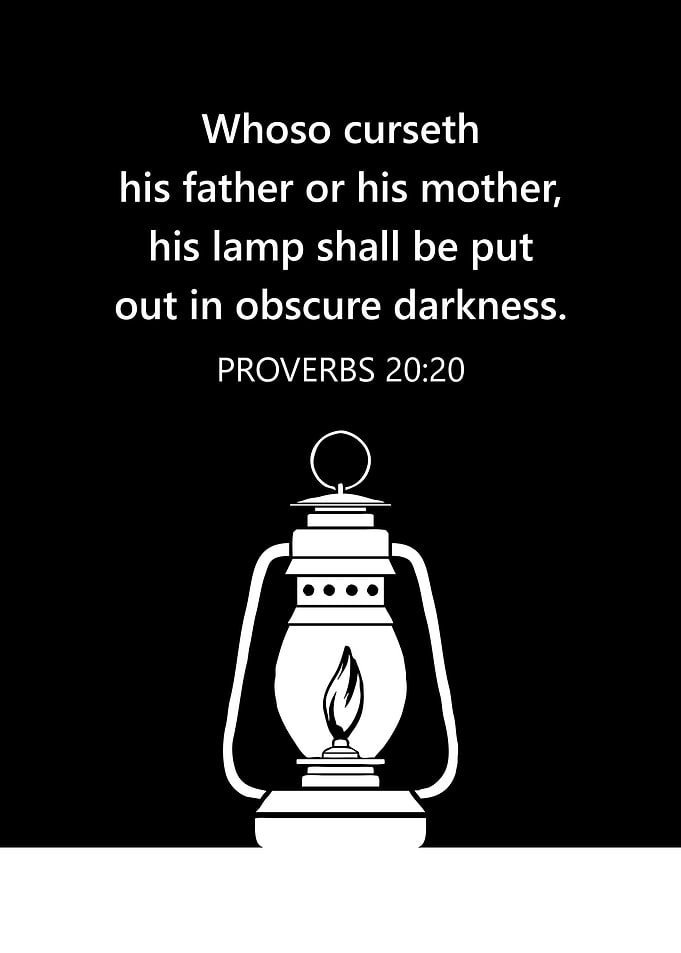 Proverbs 20 20