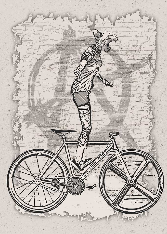 Bike Punk