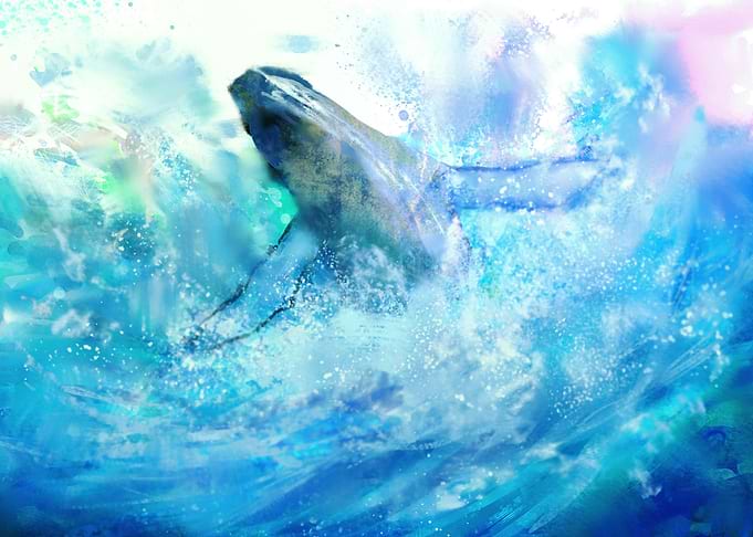 Splash