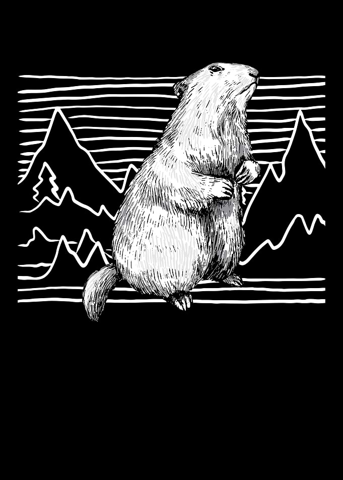 Groundhog