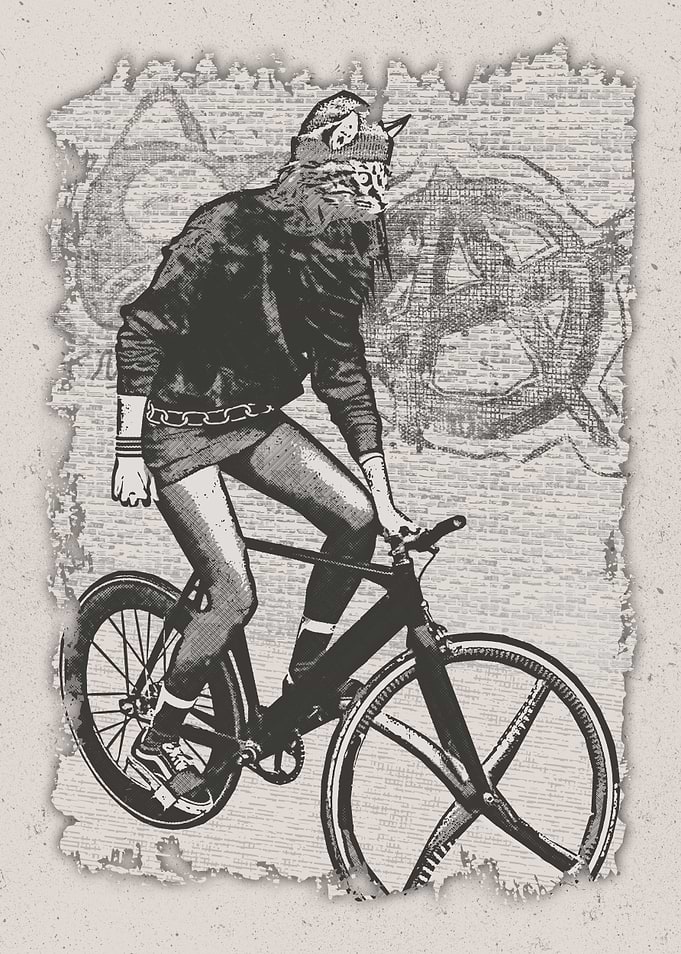 Bike Punk