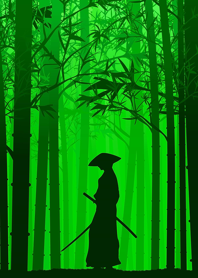Anime Samurai