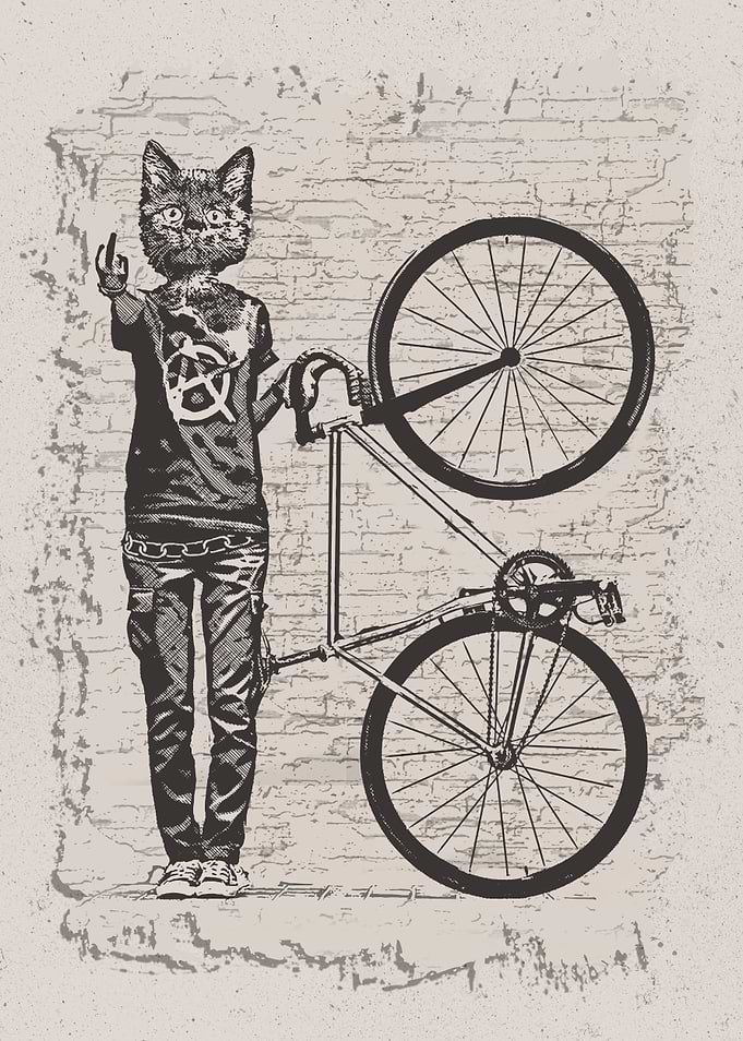 Bike Punk