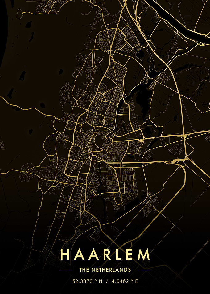 Haarlem City Map Gold