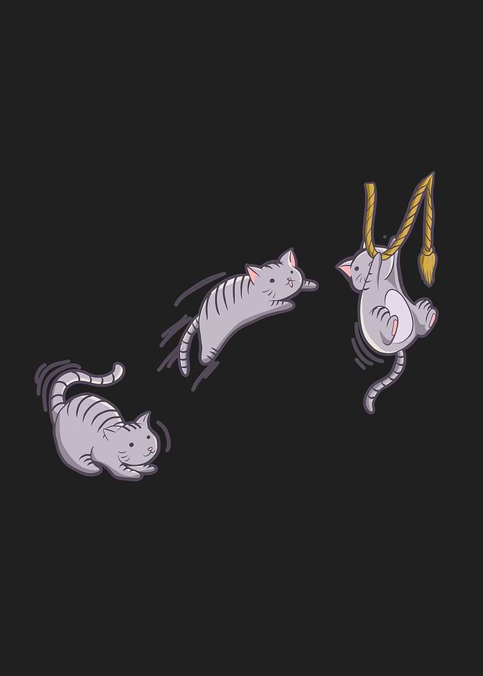 Funny Cat Jumping