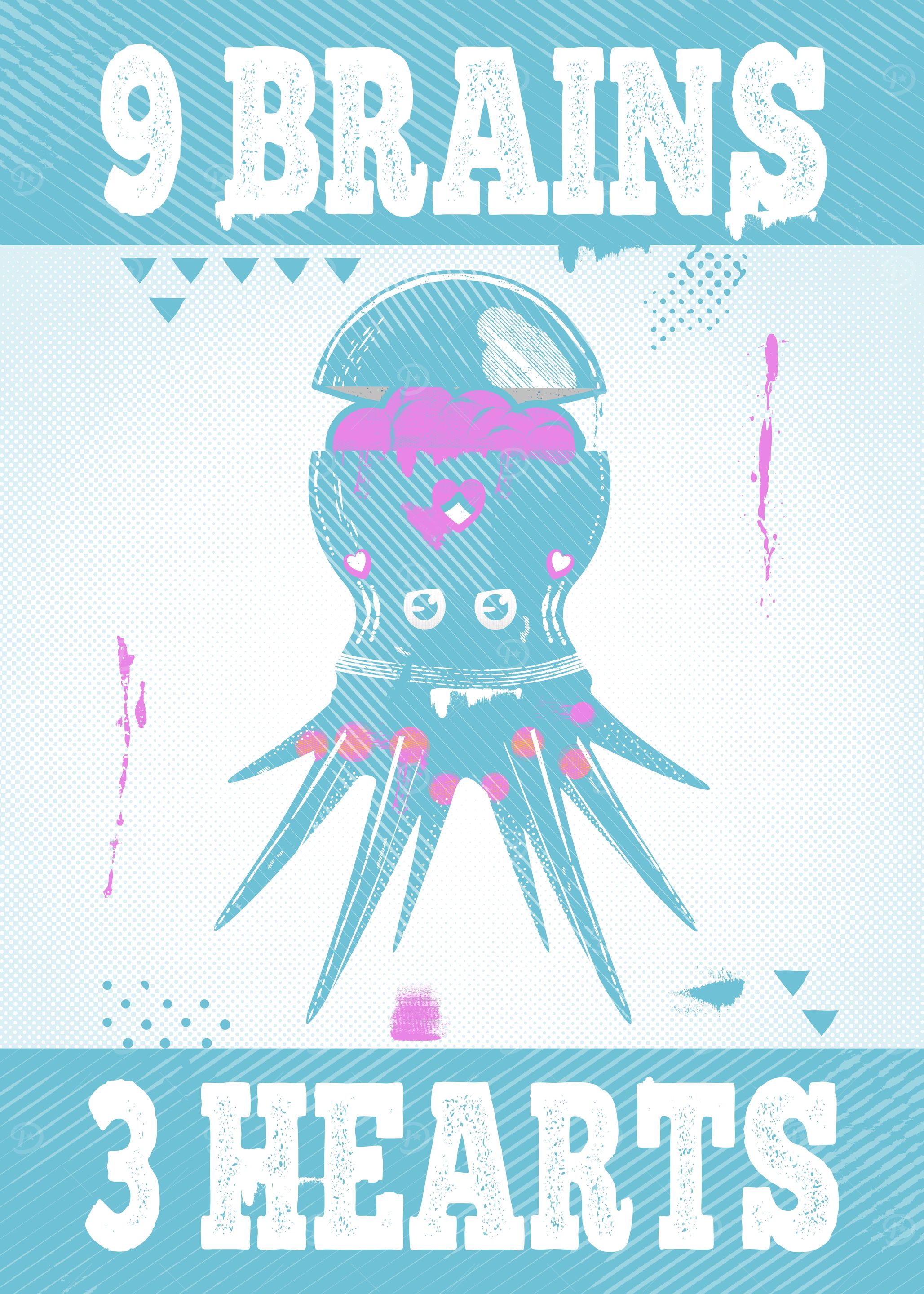 Octopus anatomy