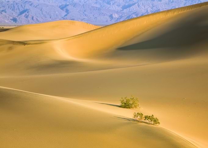 Sand Wave