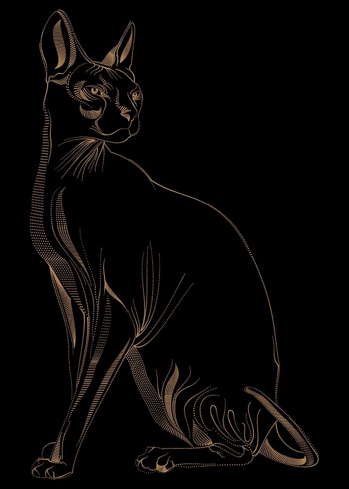 Golden Cat sphinx Art