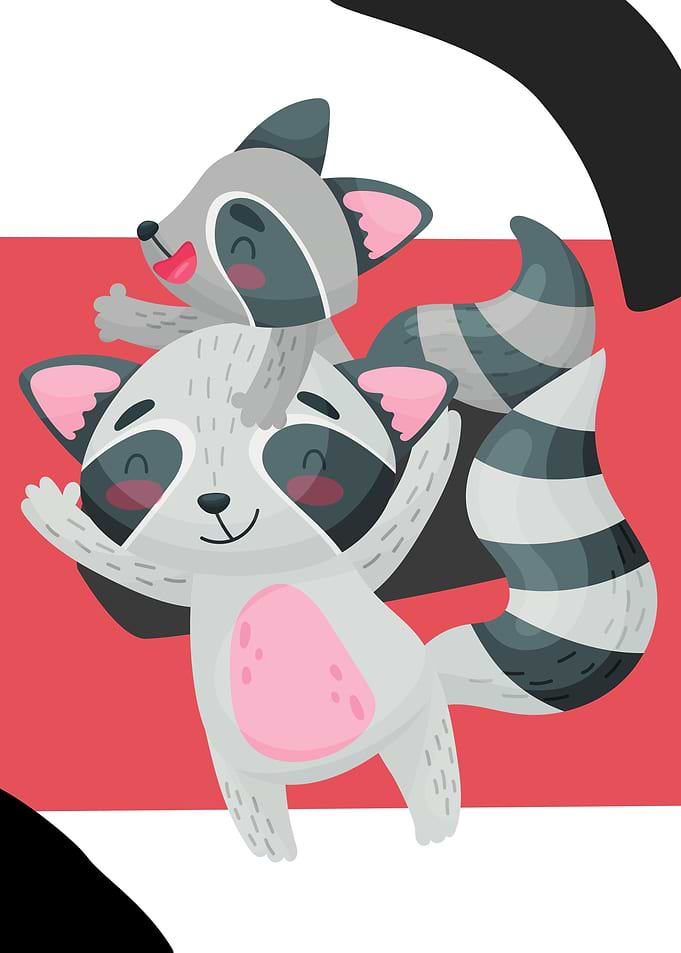 Mother and Baby Racoon