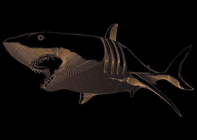 Golden Shark animal Art