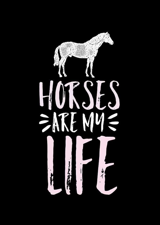 Horse Rider Life