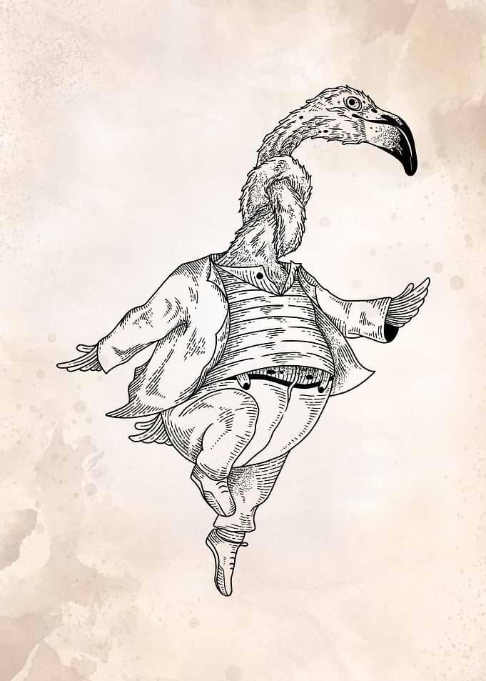 flamingo