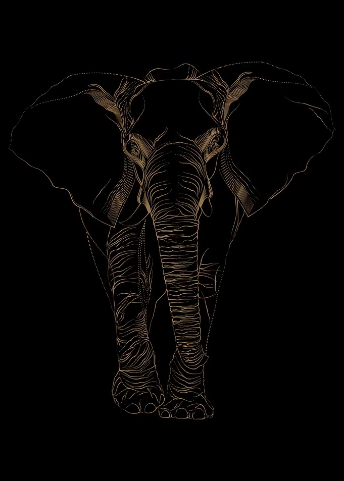 Golden elephant animal Art