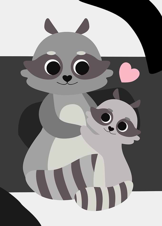 Mother and Baby Racoon