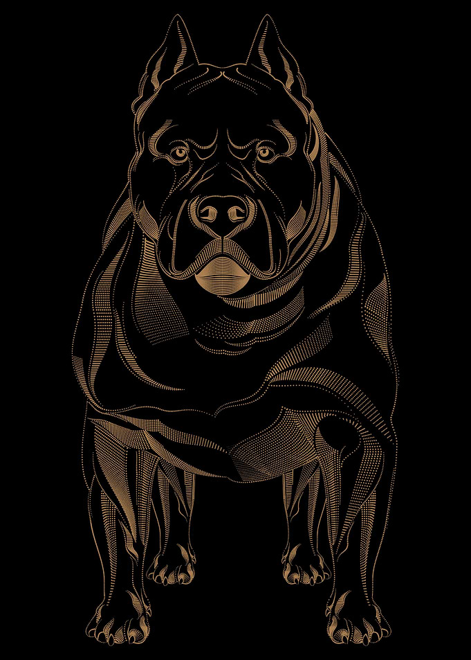 Golden Pit bull Animal Art