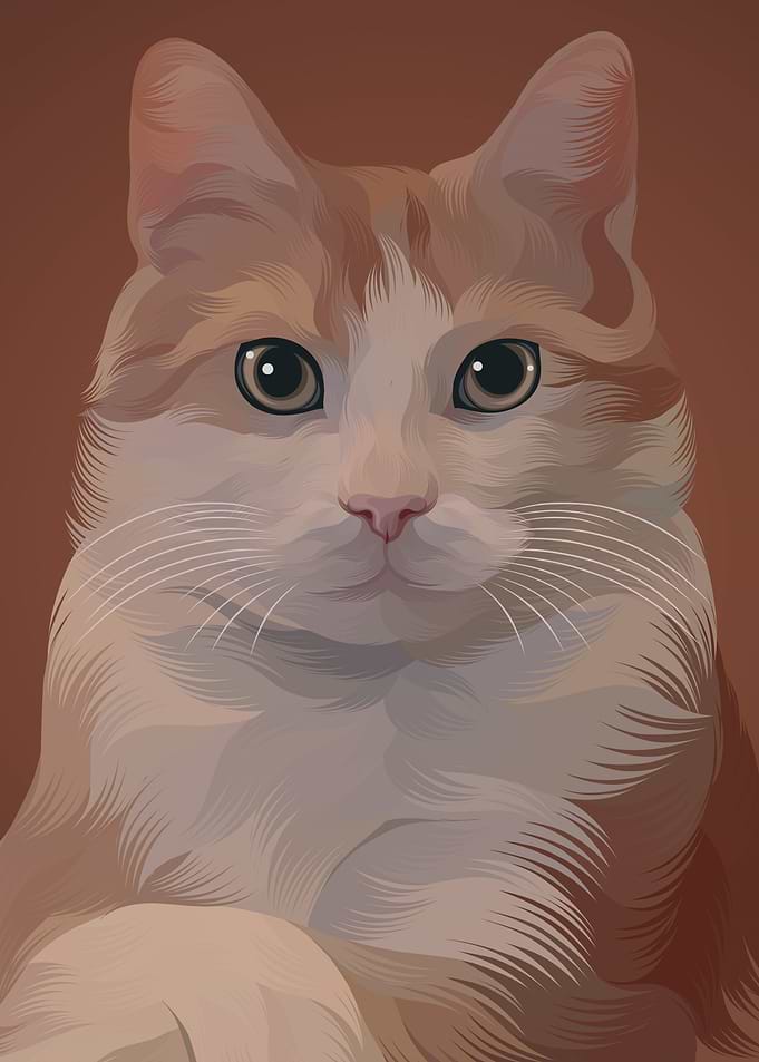 Cute Cat 4