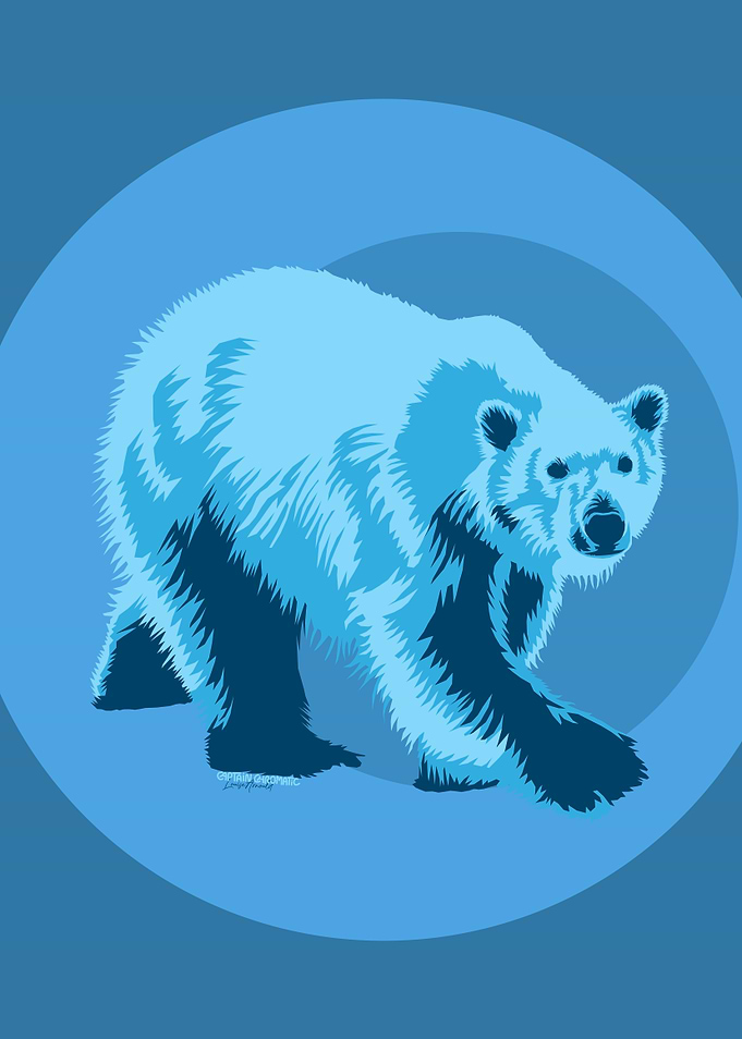 Polar bear walking