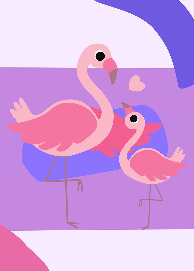 Mother and Baby Flamingo