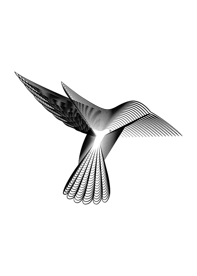 Animale 05