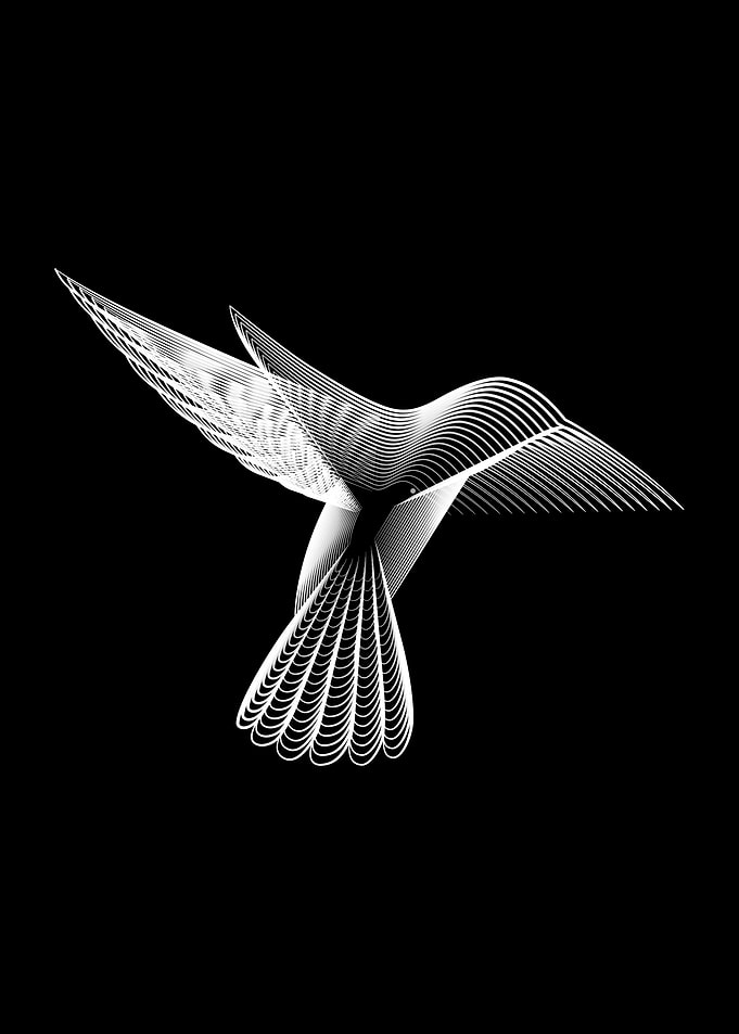 Animale 06