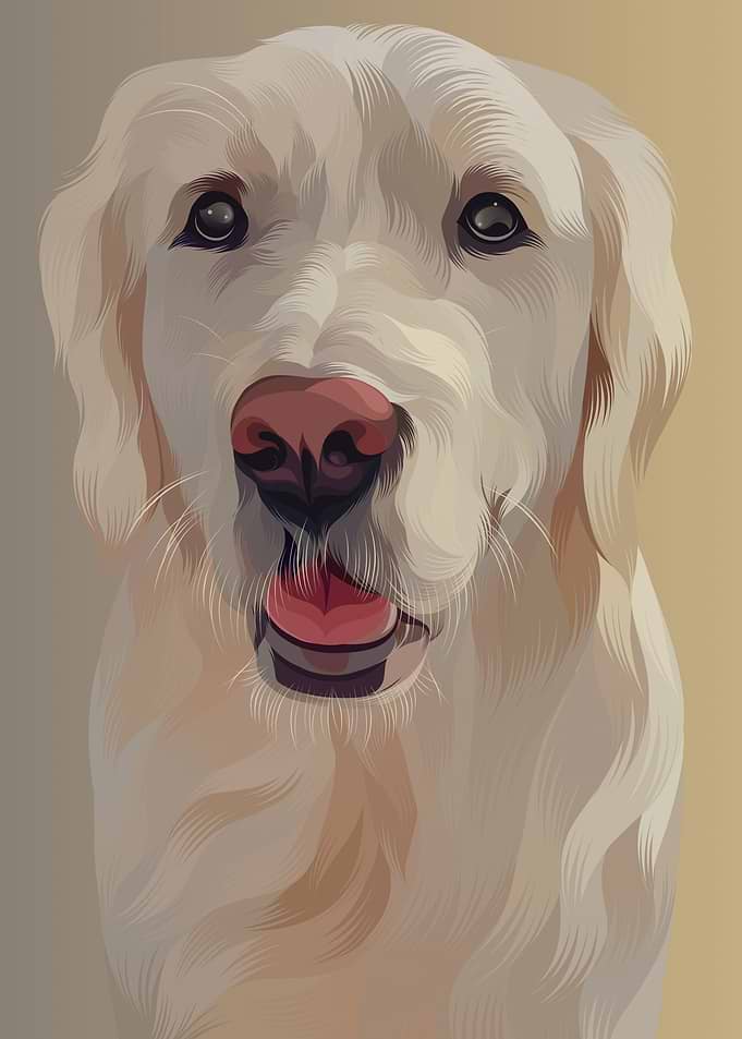 Dog 21