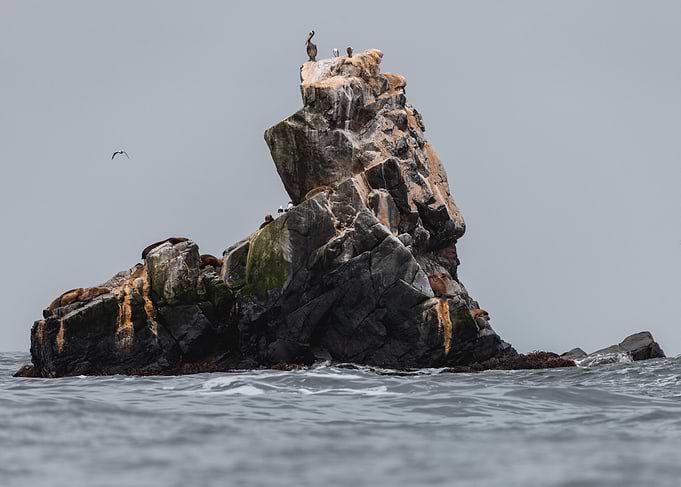 Isla Damas