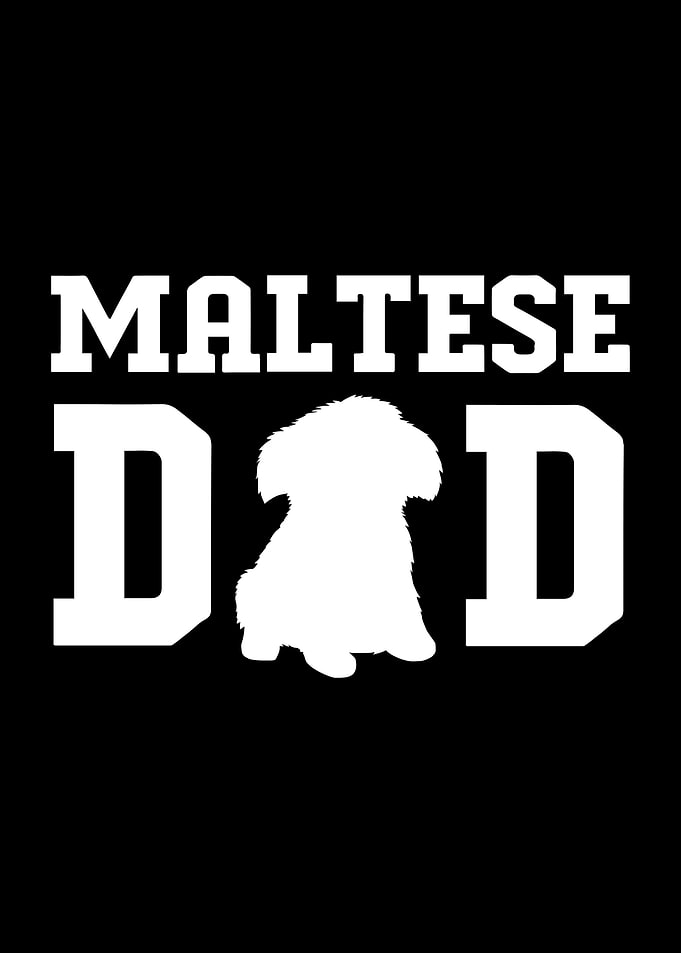 Maltese Dad