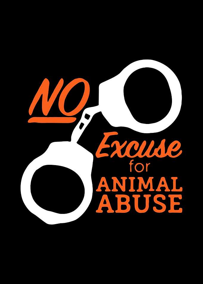 animal abuse