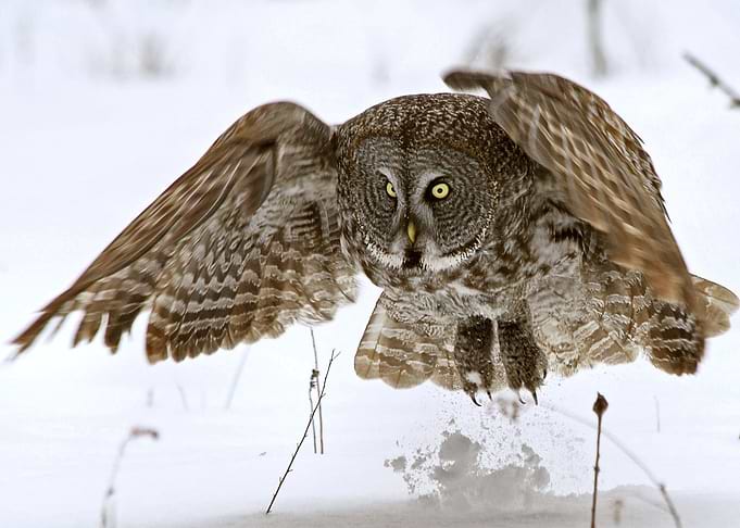 Lift off