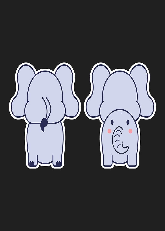 Cute Anime Elephant Manga