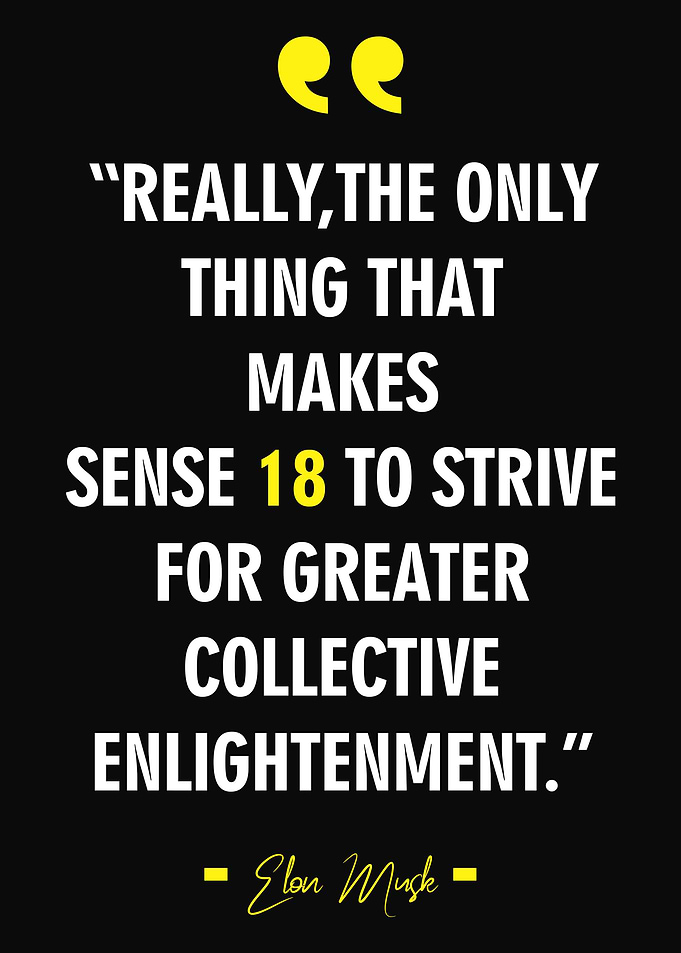 Elon Musk Quote