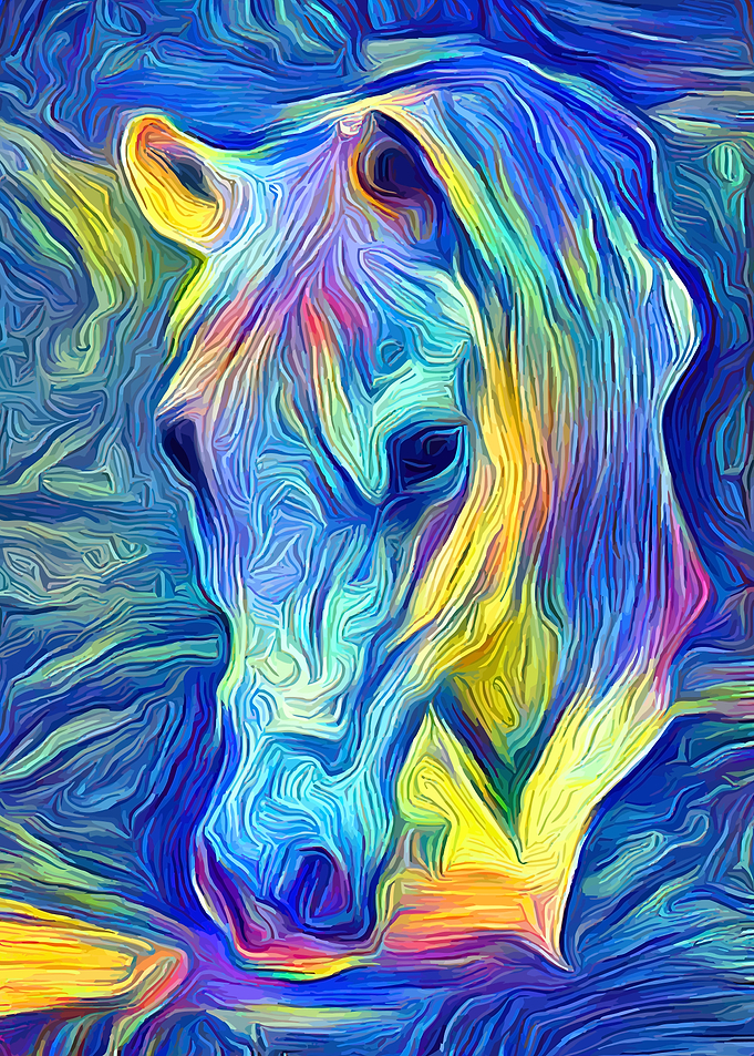 Horse Fantasy Night