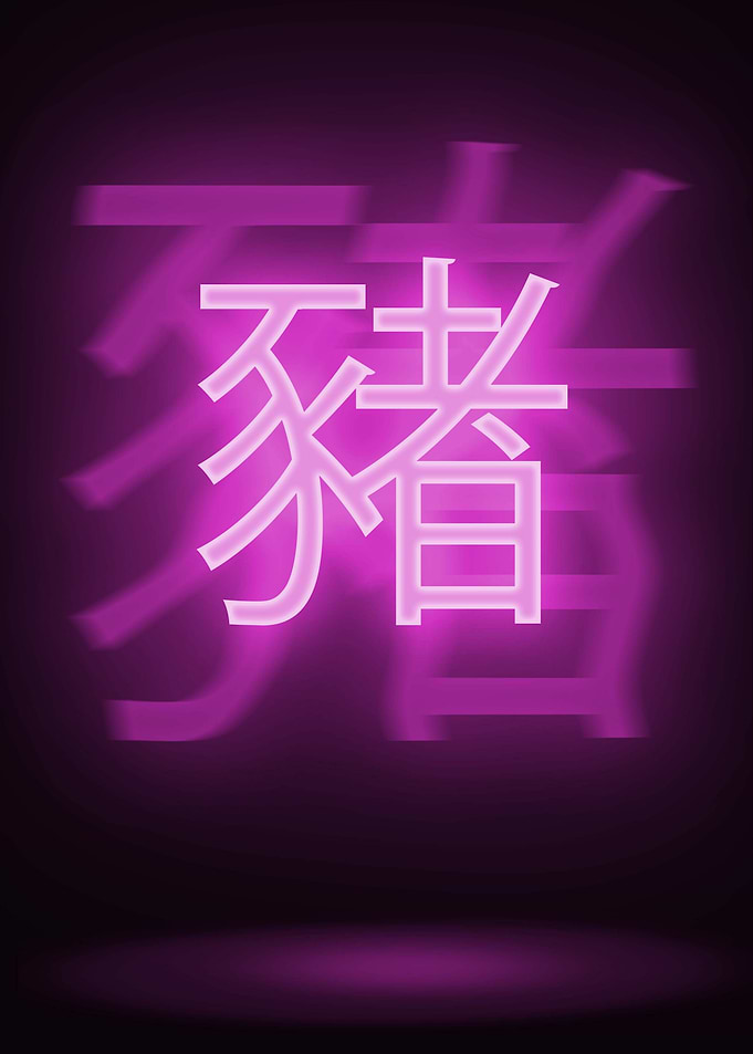Year of the Pig