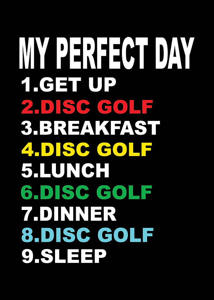 My Perfect Tag Disc Golf